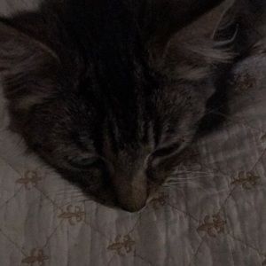 Meet your Posher, Tracy